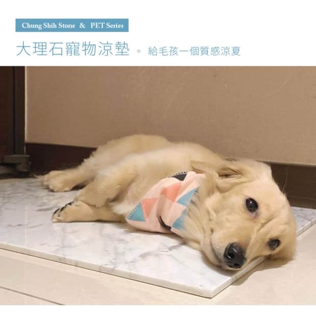 大理石寵物散熱墊